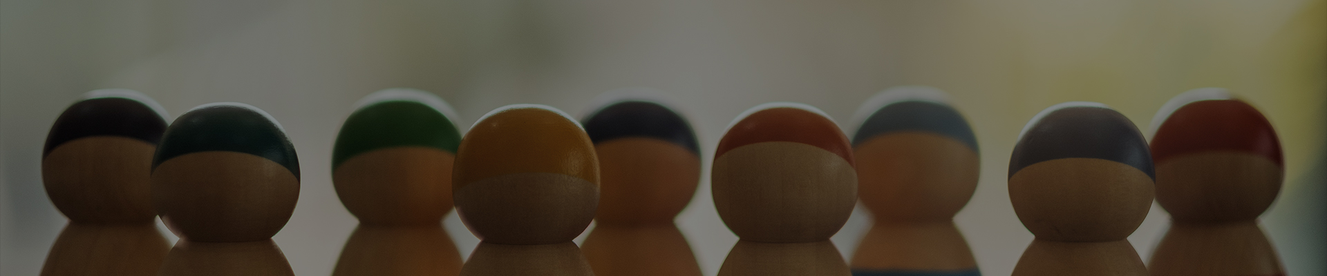 Shanghai Dengsheng Strumento Manufacturing Co., Ltd.