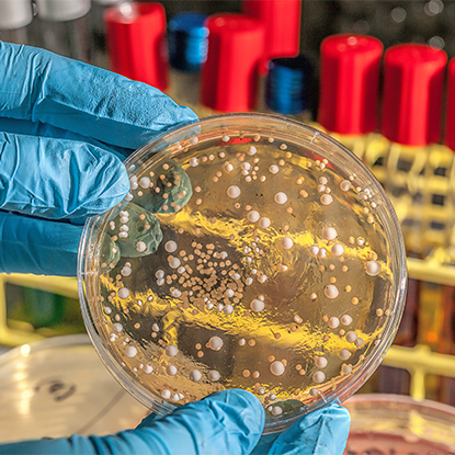 Controllo della salute e delle malattie