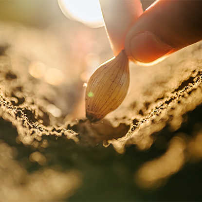 Agricoltura e selvicoltura