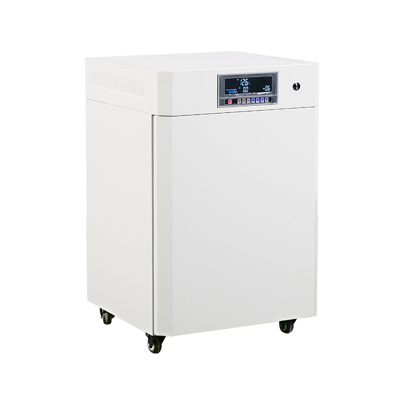 Rivestimento interno in acciaio inossidabile resistente alla corrosione Incubatore ad anidride carbonica